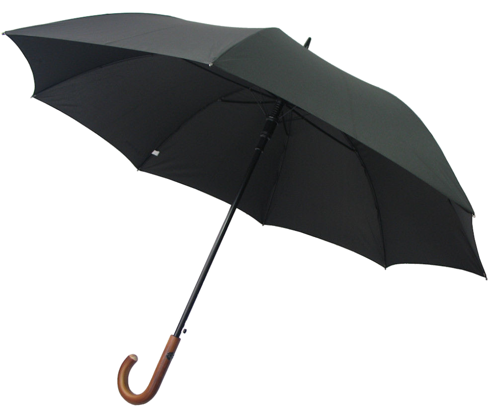 Pierre Cardin 'Black Line' AC Golfschirm mit Holzgriff schwarz
