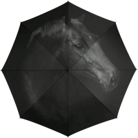 Happy Rain 'Long AC' Langschirm Horse