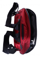 Travel 'N' Meet Mini Rucksack aus Spinnstoff rot