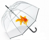 Happy Rain 'Essentials' Langschirm Long Domshape goldfish