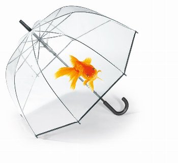 Happy Rain 'Essentials' Langschirm Long Domshape goldfish