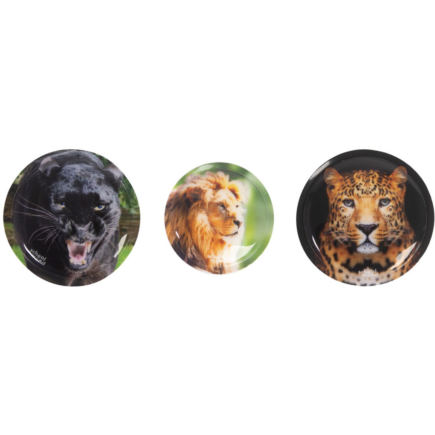 schoolmood 'Raubkatzen' 3er Patchy-Set 