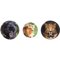 schoolmood 'Raubkatzen' 3er Patchy-Set 