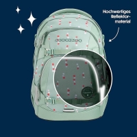 Coocazoo 'Mate' Schulrucksack 1,250kg 30l Dancing Dots