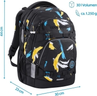 Coocazoo 'Mate' Schulrucksack 1,250kg 30l Crazy Artnight