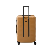 Titan 'UPGRADE' Spinner L 100l 3,9kg canyon bronze