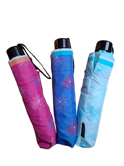 Derby'Daisy' Mini Taschenschirm sortiert 
